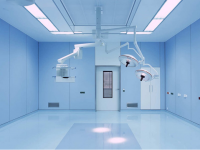 潔凈工程內墻裝飾板